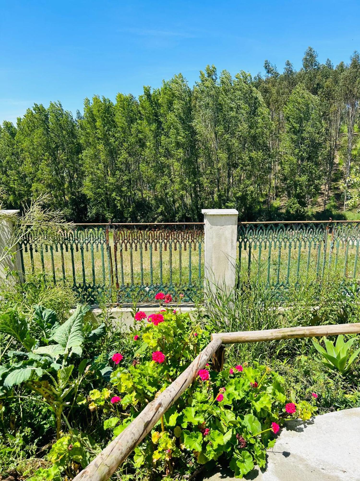Mae Home Carril Калдас да Райна Екстериор снимка